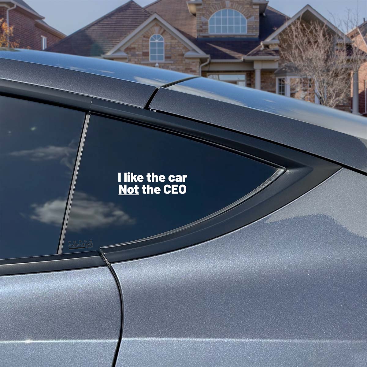 I Like The Car Not The CEO | Cut Vinyl Letters Decal