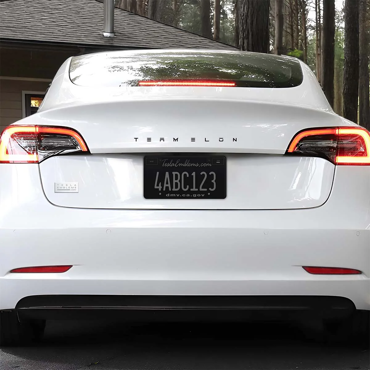Team Elon Letters | Cut Vinyl Letters Decal - Image 2