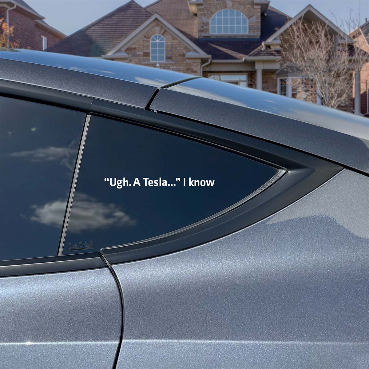 Ugh. A Tesla... I Know | Cut Vinyl Letters Decal